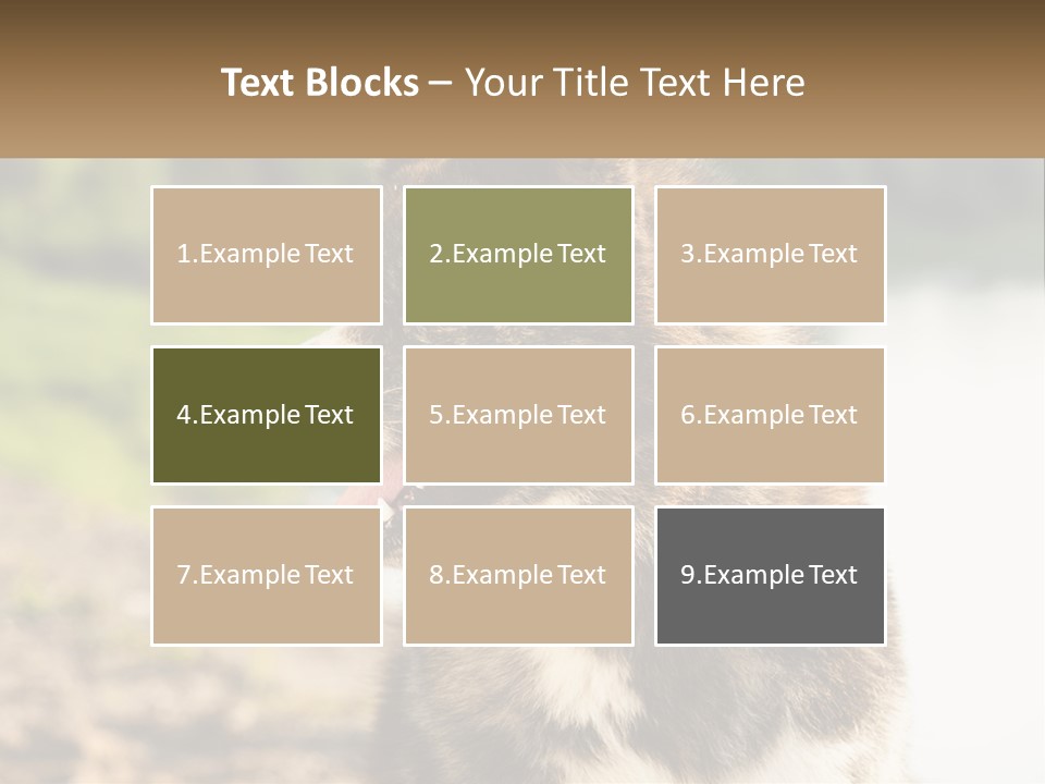 Construction Sale Lawn PowerPoint Template