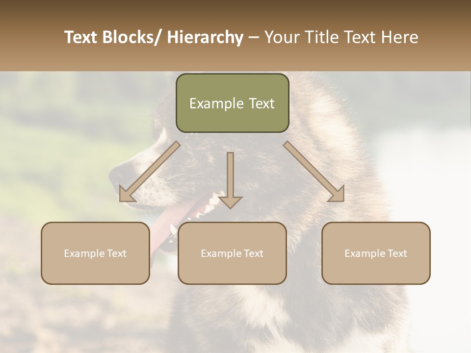 Construction Sale Lawn PowerPoint Template