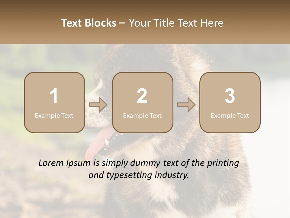 Construction Sale Lawn PowerPoint Template