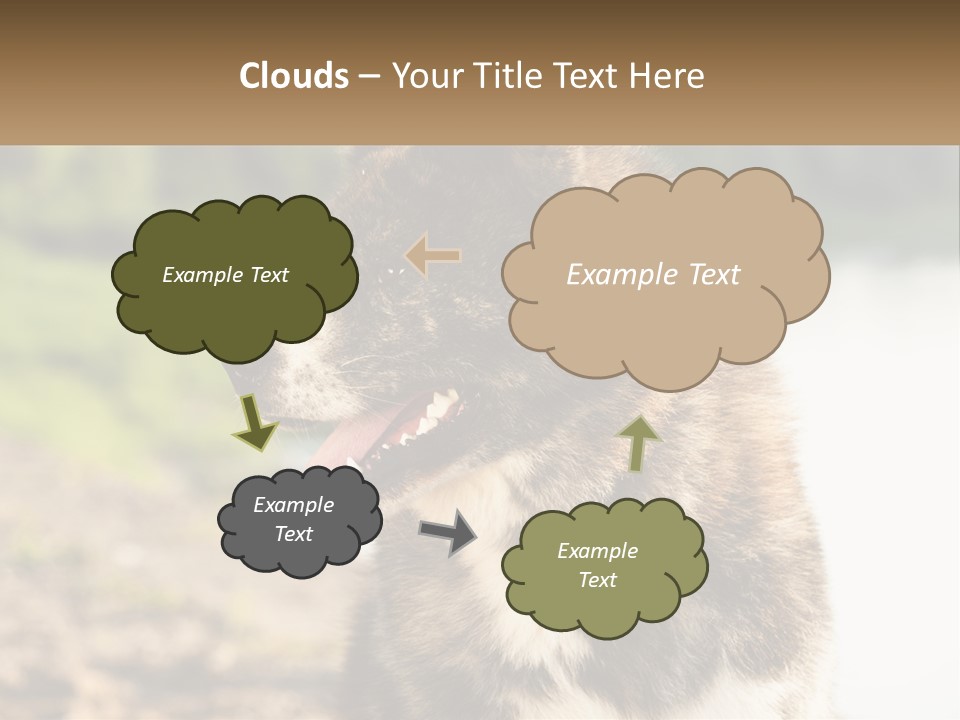 Construction Sale Lawn PowerPoint Template