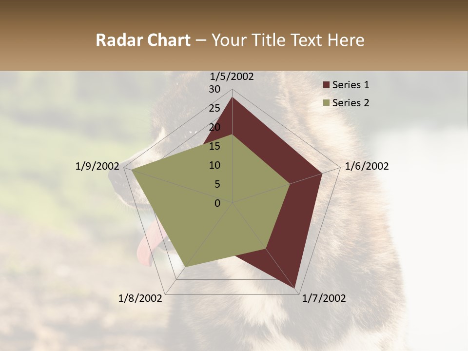Construction Sale Lawn PowerPoint Template