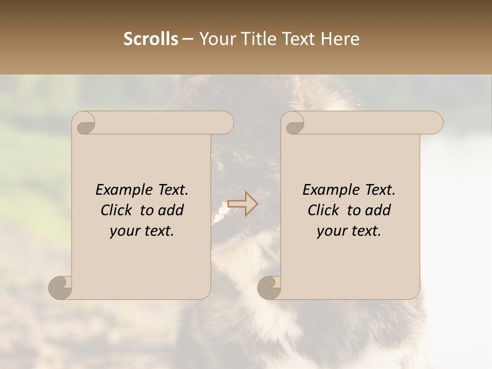 Construction Sale Lawn PowerPoint Template