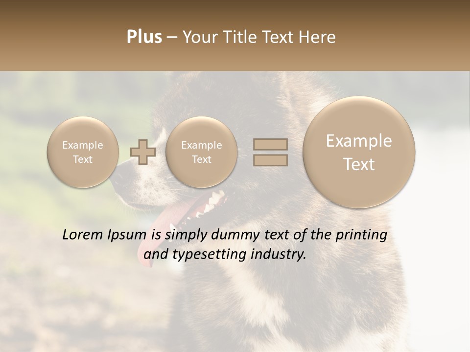 Construction Sale Lawn PowerPoint Template