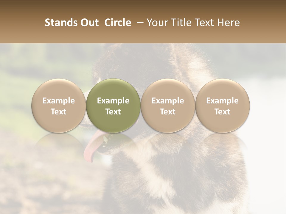 Construction Sale Lawn PowerPoint Template