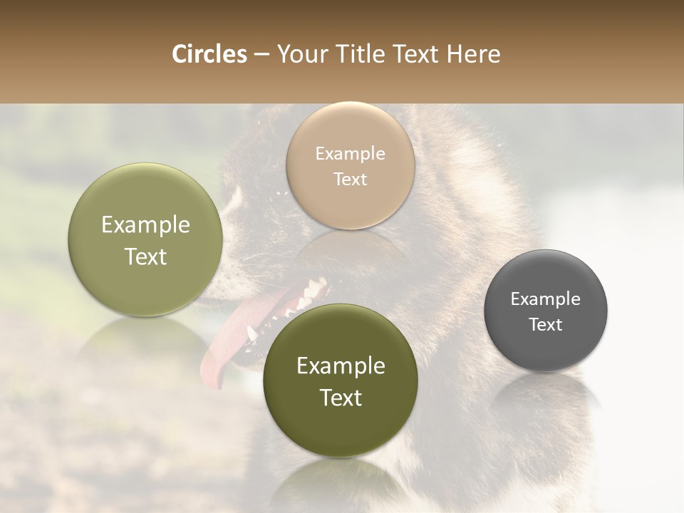 Construction Sale Lawn PowerPoint Template