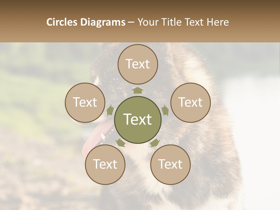 Construction Sale Lawn PowerPoint Template