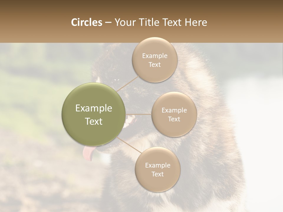 Construction Sale Lawn PowerPoint Template