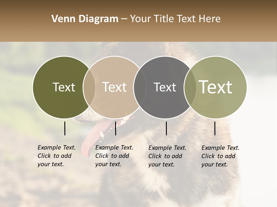 Construction Sale Lawn PowerPoint Template
