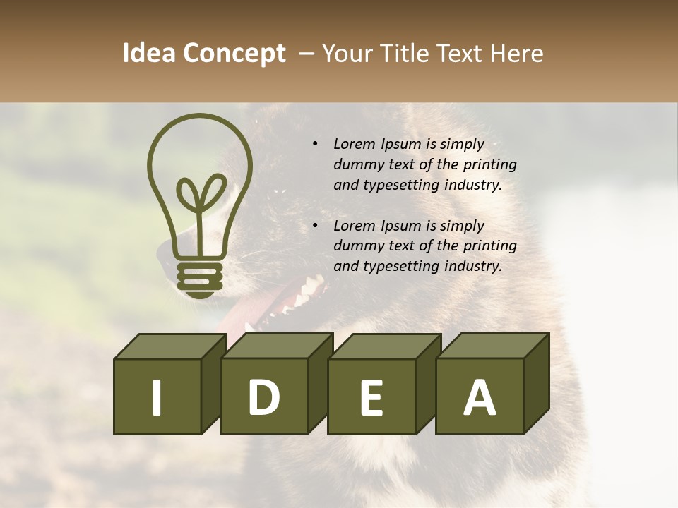 Construction Sale Lawn PowerPoint Template