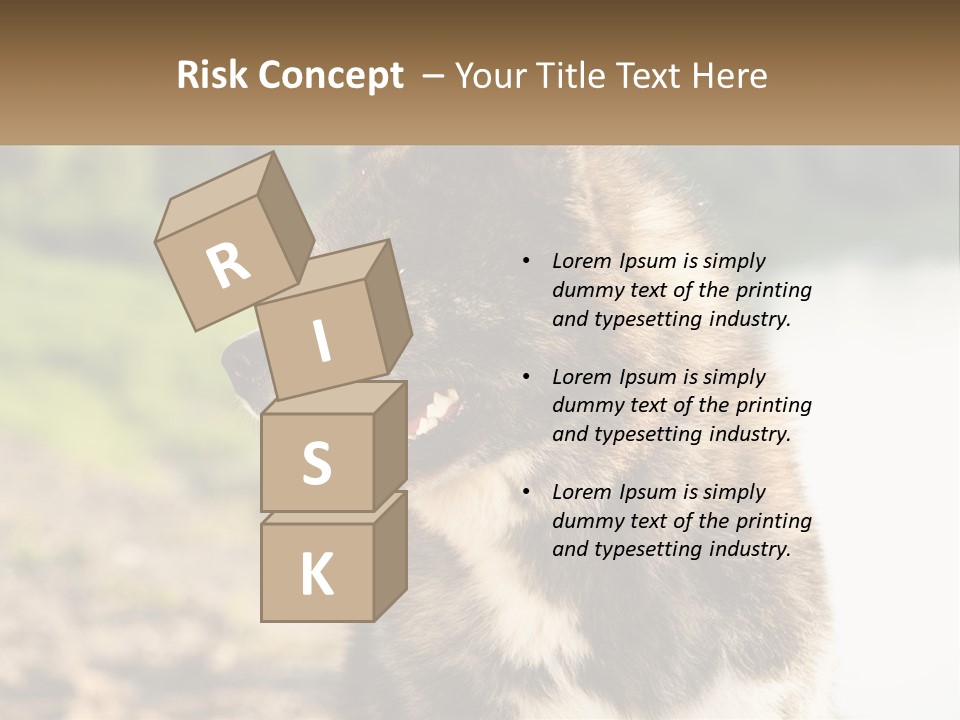 Construction Sale Lawn PowerPoint Template