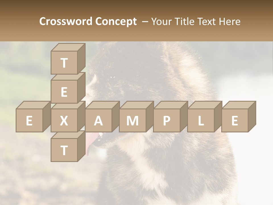 Construction Sale Lawn PowerPoint Template