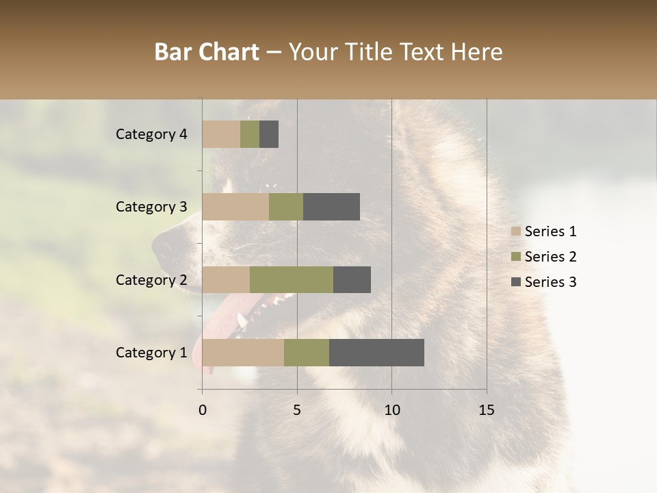 Construction Sale Lawn PowerPoint Template