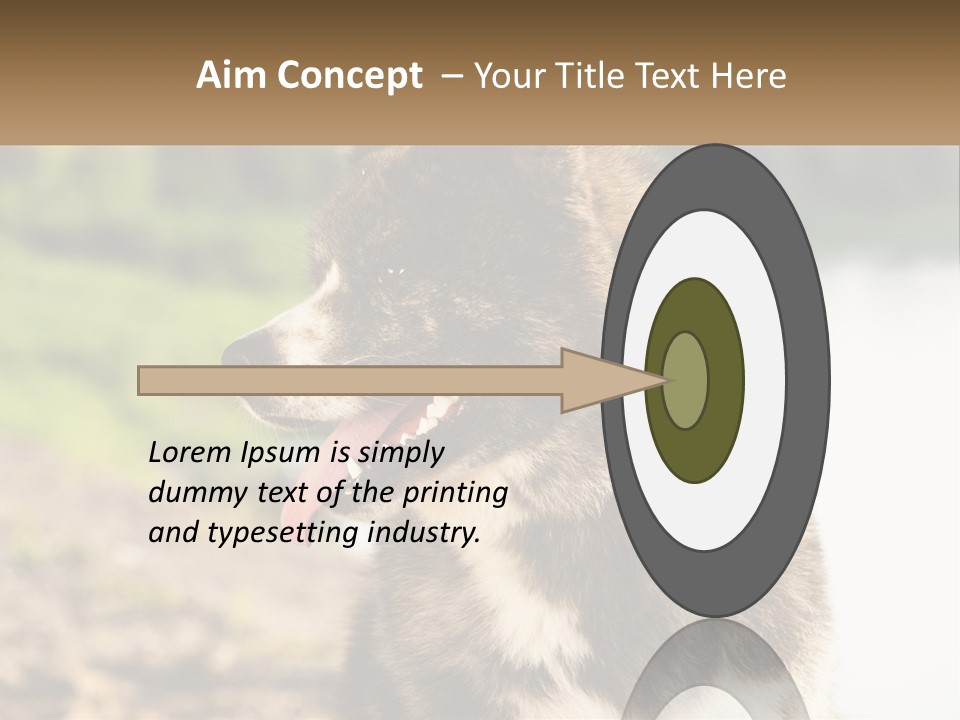 Construction Sale Lawn PowerPoint Template