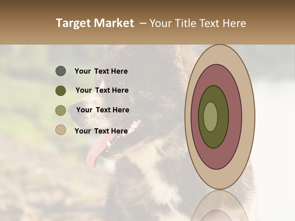 Construction Sale Lawn PowerPoint Template