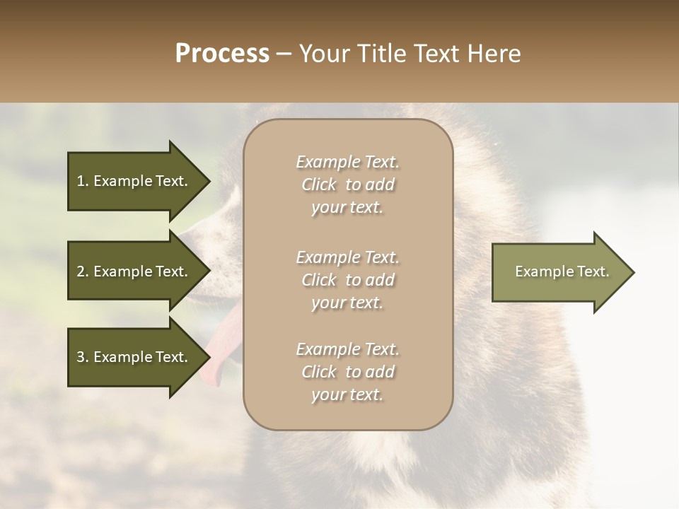 Construction Sale Lawn PowerPoint Template