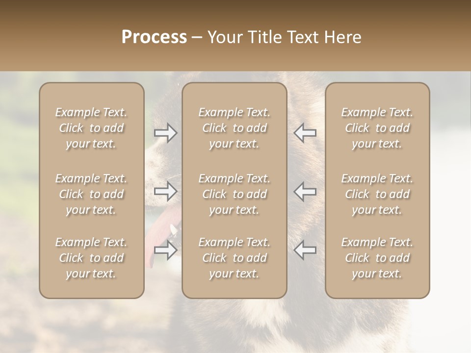 Construction Sale Lawn PowerPoint Template