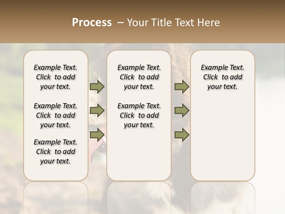 Construction Sale Lawn PowerPoint Template