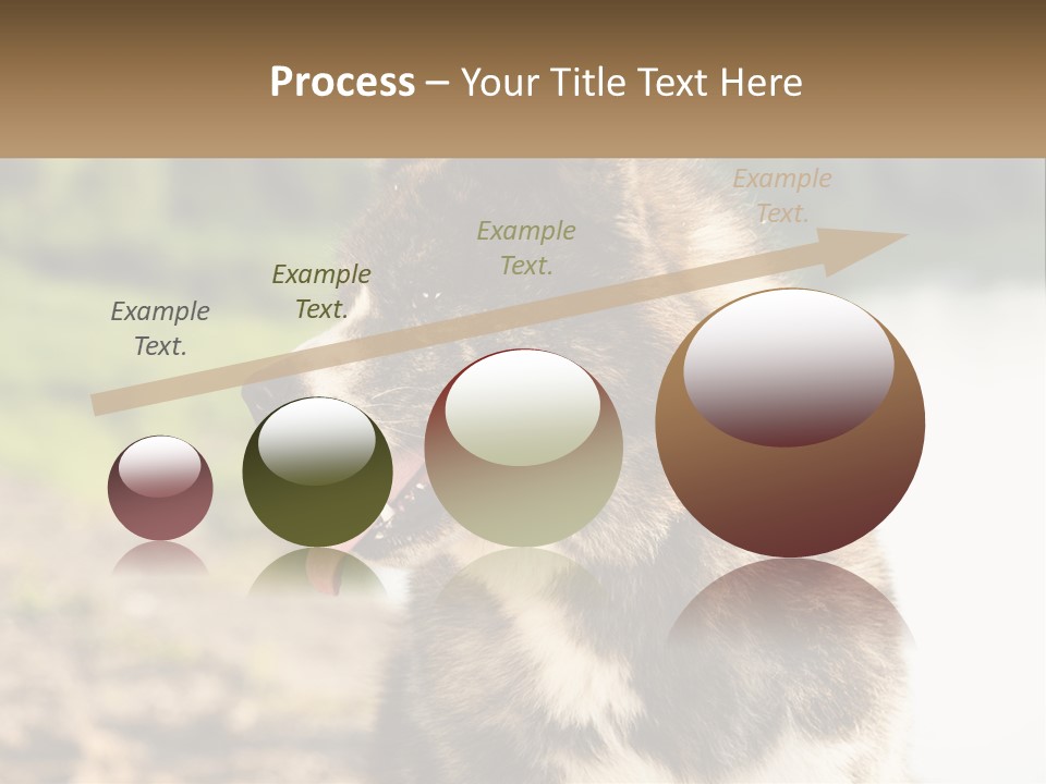 Construction Sale Lawn PowerPoint Template