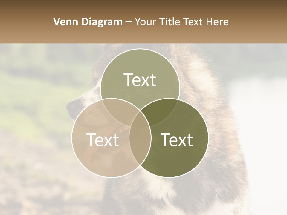 Construction Sale Lawn PowerPoint Template