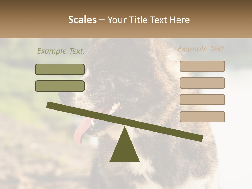 Construction Sale Lawn PowerPoint Template