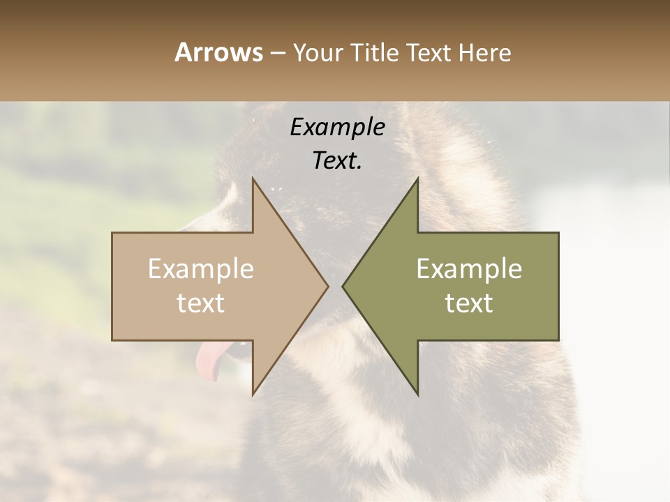 Construction Sale Lawn PowerPoint Template