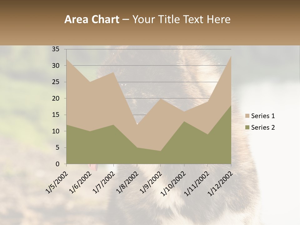 Construction Sale Lawn PowerPoint Template
