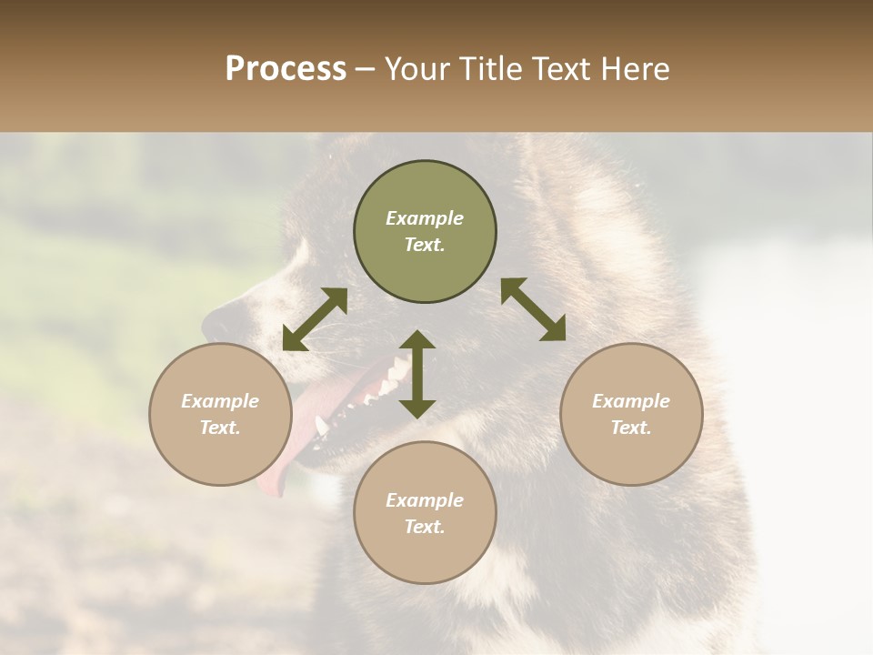 Construction Sale Lawn PowerPoint Template