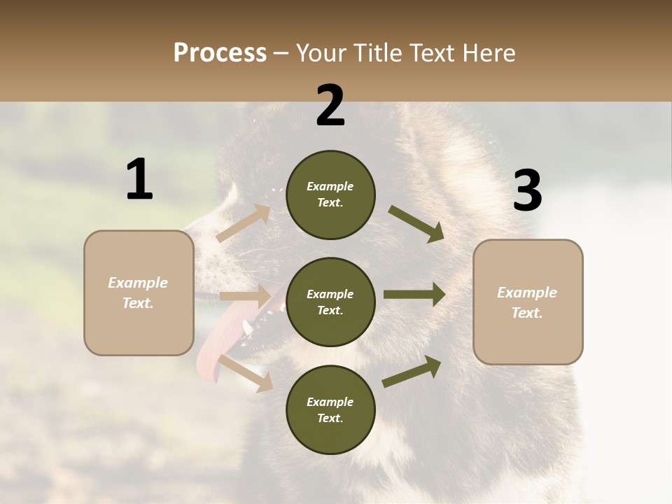 Construction Sale Lawn PowerPoint Template