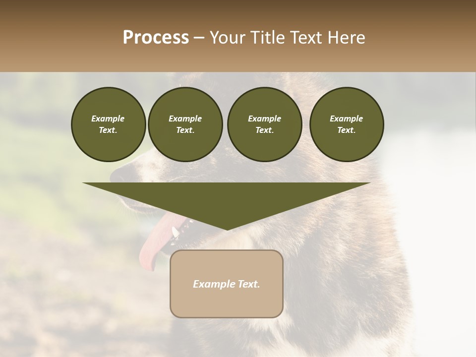 Construction Sale Lawn PowerPoint Template