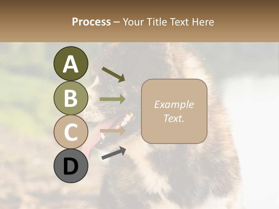 Construction Sale Lawn PowerPoint Template