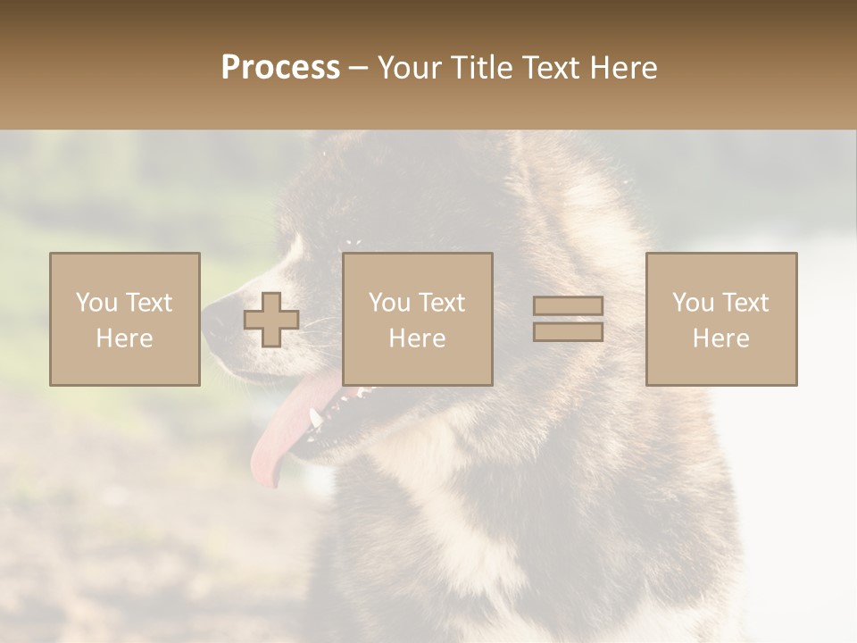Construction Sale Lawn PowerPoint Template