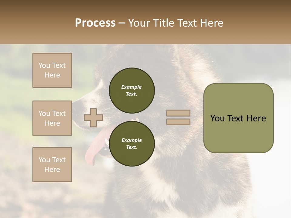 Construction Sale Lawn PowerPoint Template
