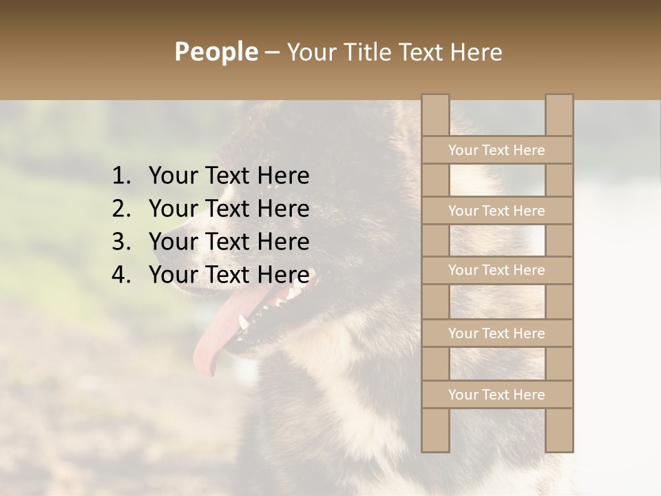 Construction Sale Lawn PowerPoint Template