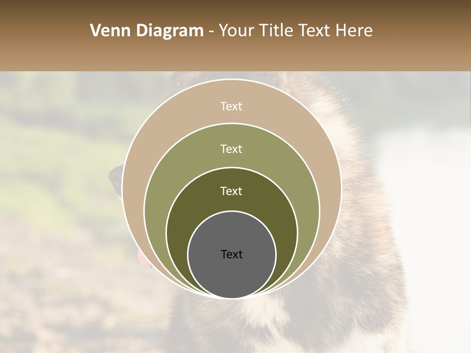 Construction Sale Lawn PowerPoint Template