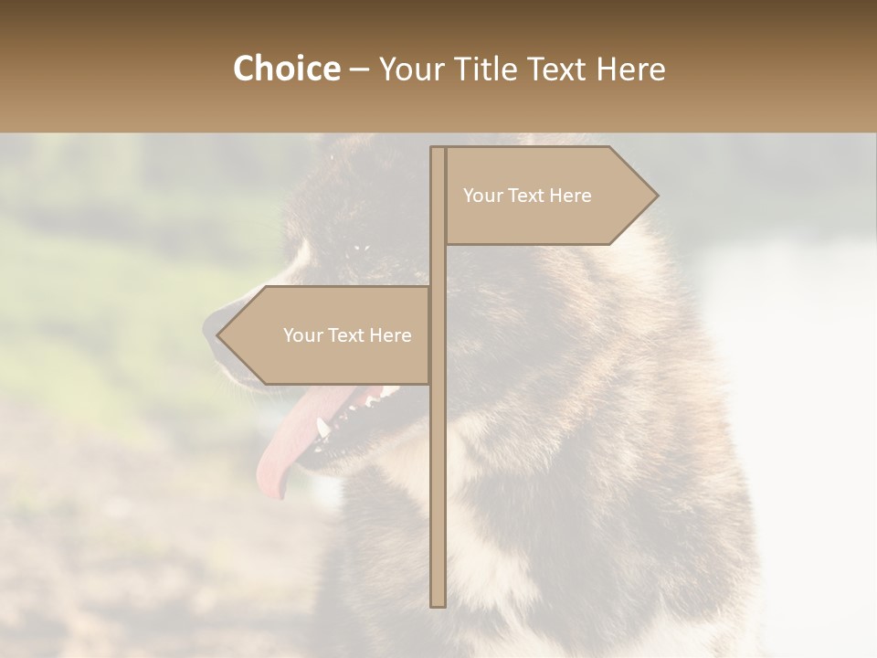 Construction Sale Lawn PowerPoint Template