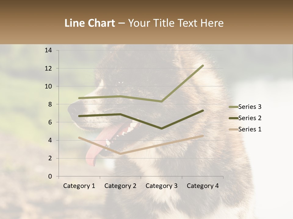 Construction Sale Lawn PowerPoint Template