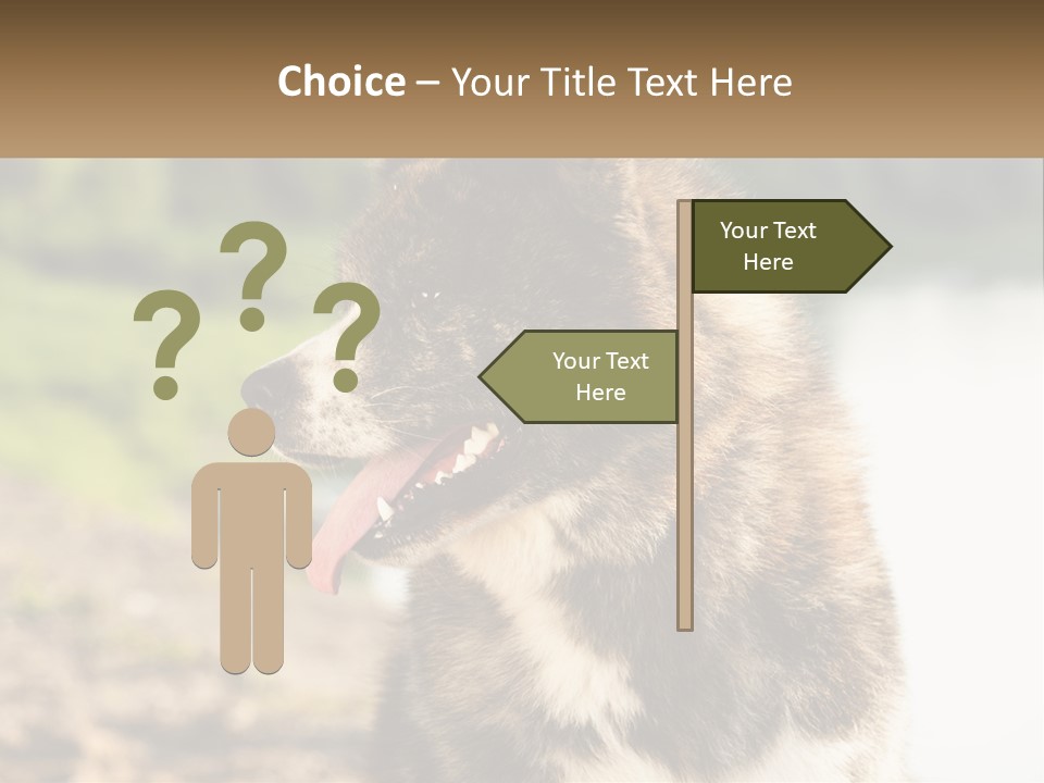 Construction Sale Lawn PowerPoint Template