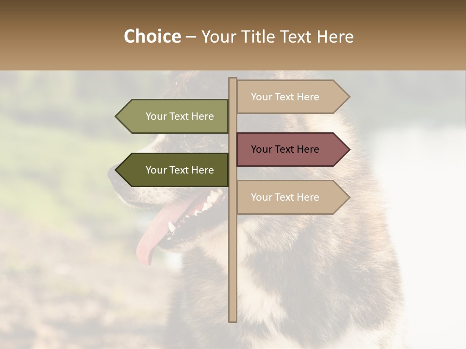 Construction Sale Lawn PowerPoint Template