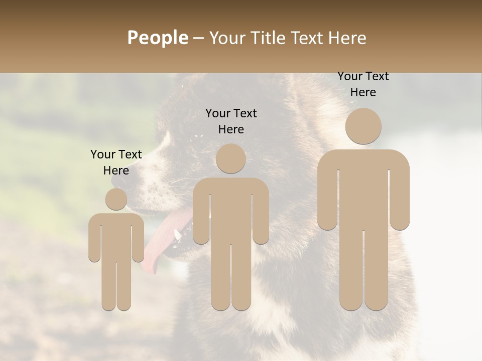 Construction Sale Lawn PowerPoint Template