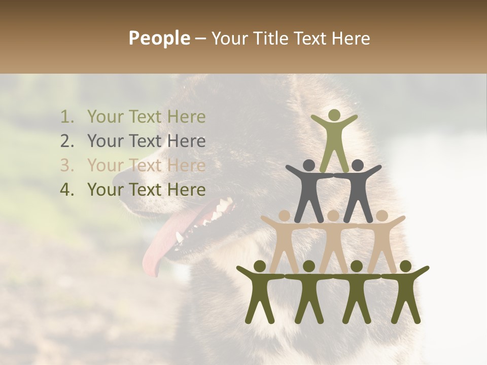 Construction Sale Lawn PowerPoint Template