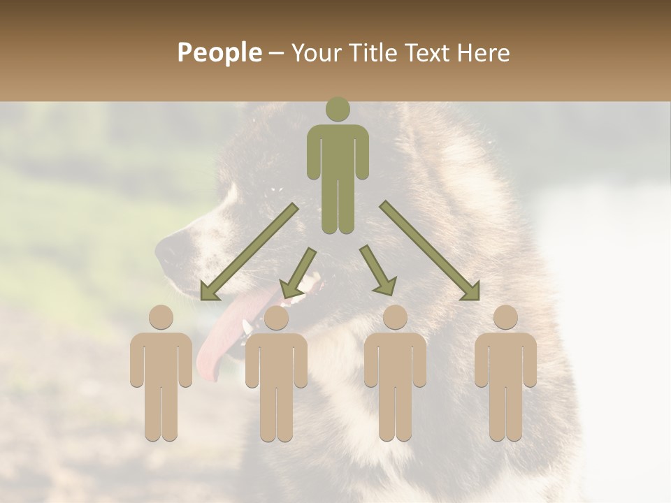 Construction Sale Lawn PowerPoint Template