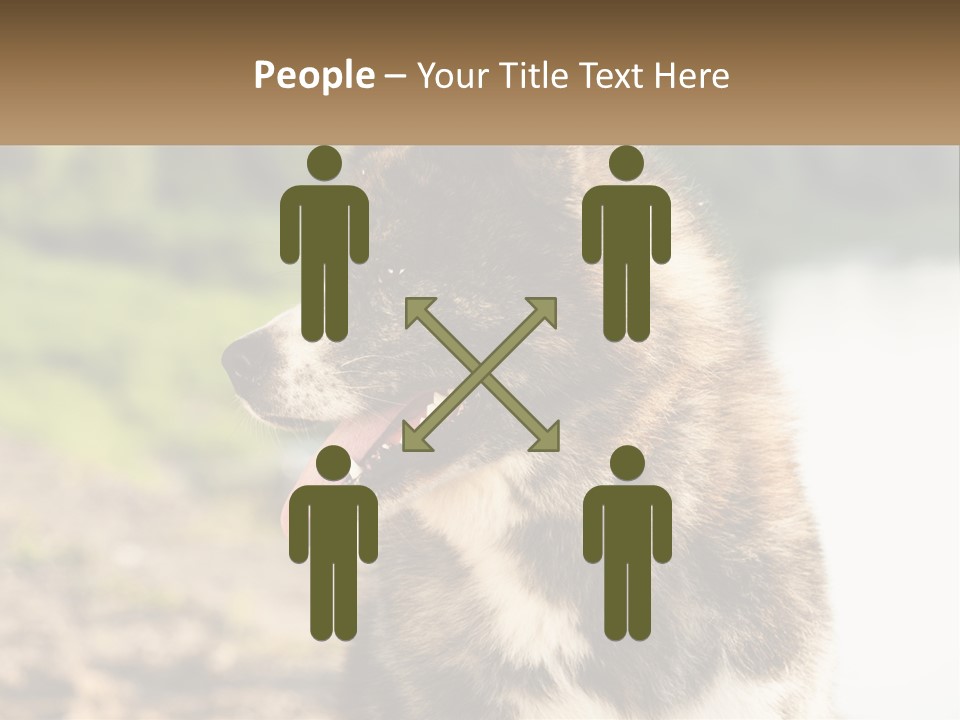 Construction Sale Lawn PowerPoint Template