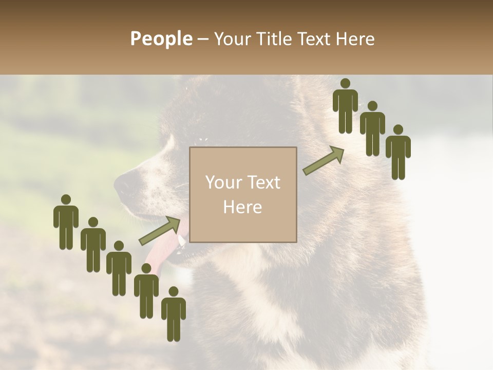 Construction Sale Lawn PowerPoint Template