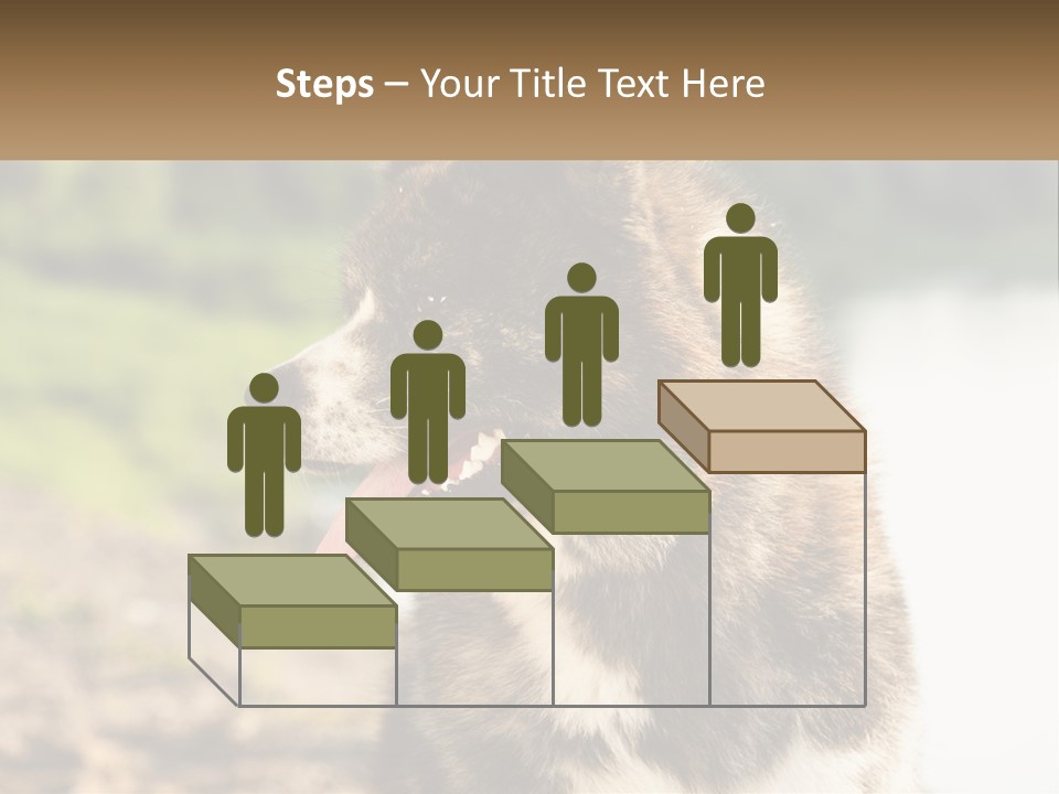 Construction Sale Lawn PowerPoint Template