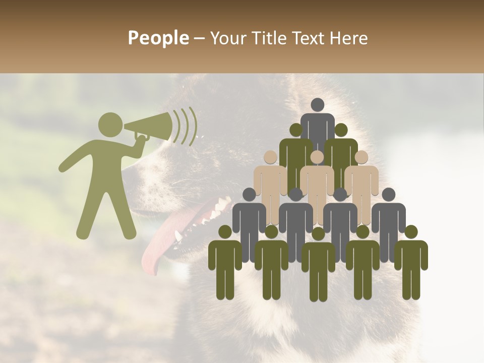 Construction Sale Lawn PowerPoint Template