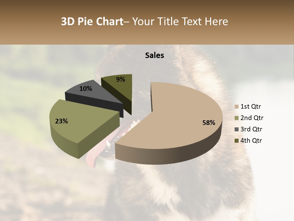 Construction Sale Lawn PowerPoint Template