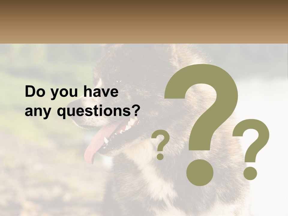 Construction Sale Lawn PowerPoint Template