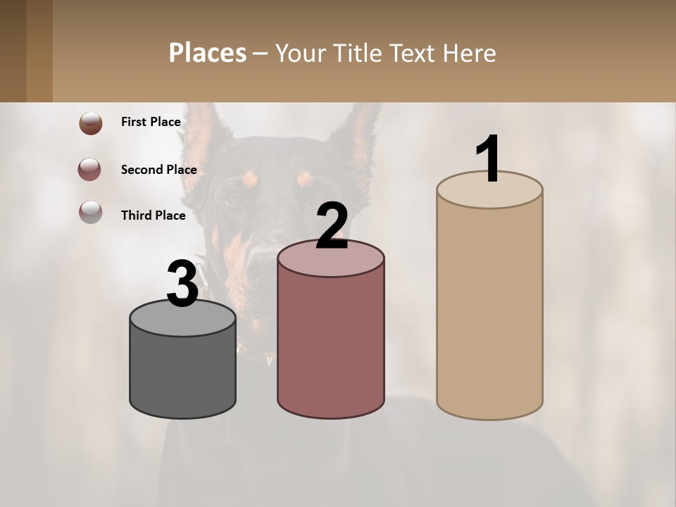 Sale Build Buy PowerPoint Template