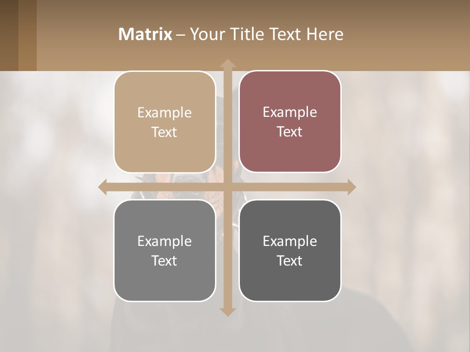 Sale Build Buy PowerPoint Template