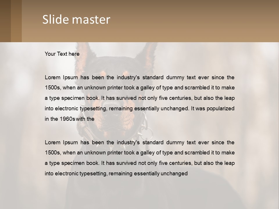 Sale Build Buy PowerPoint Template